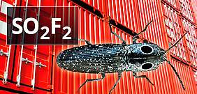 SO2F2 Pest Control